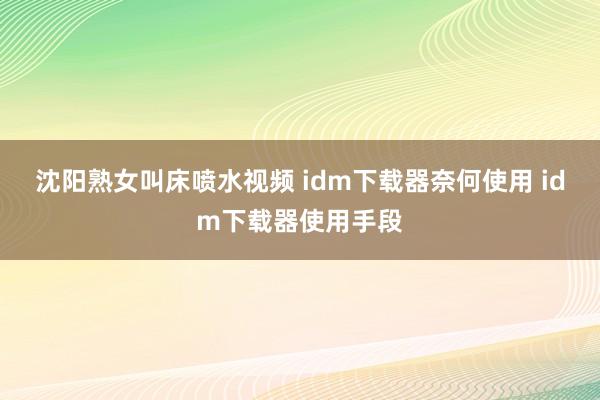 沈阳熟女叫床喷水视频 idm下载器奈何使用 idm下载器使用手段